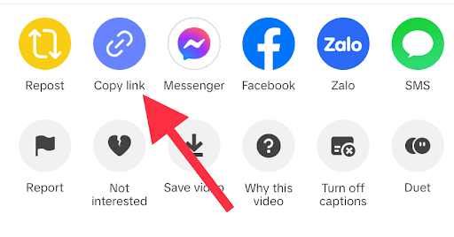 Copy link from TikTok app